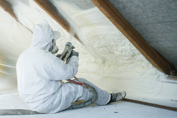 Best Eco-Friendly Insulation Solutions  in Weirton, WV